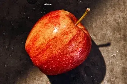 Apple from Panera Bread