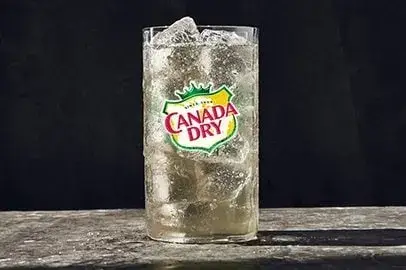 Canada Dry Ginger Ale from Panera Bread