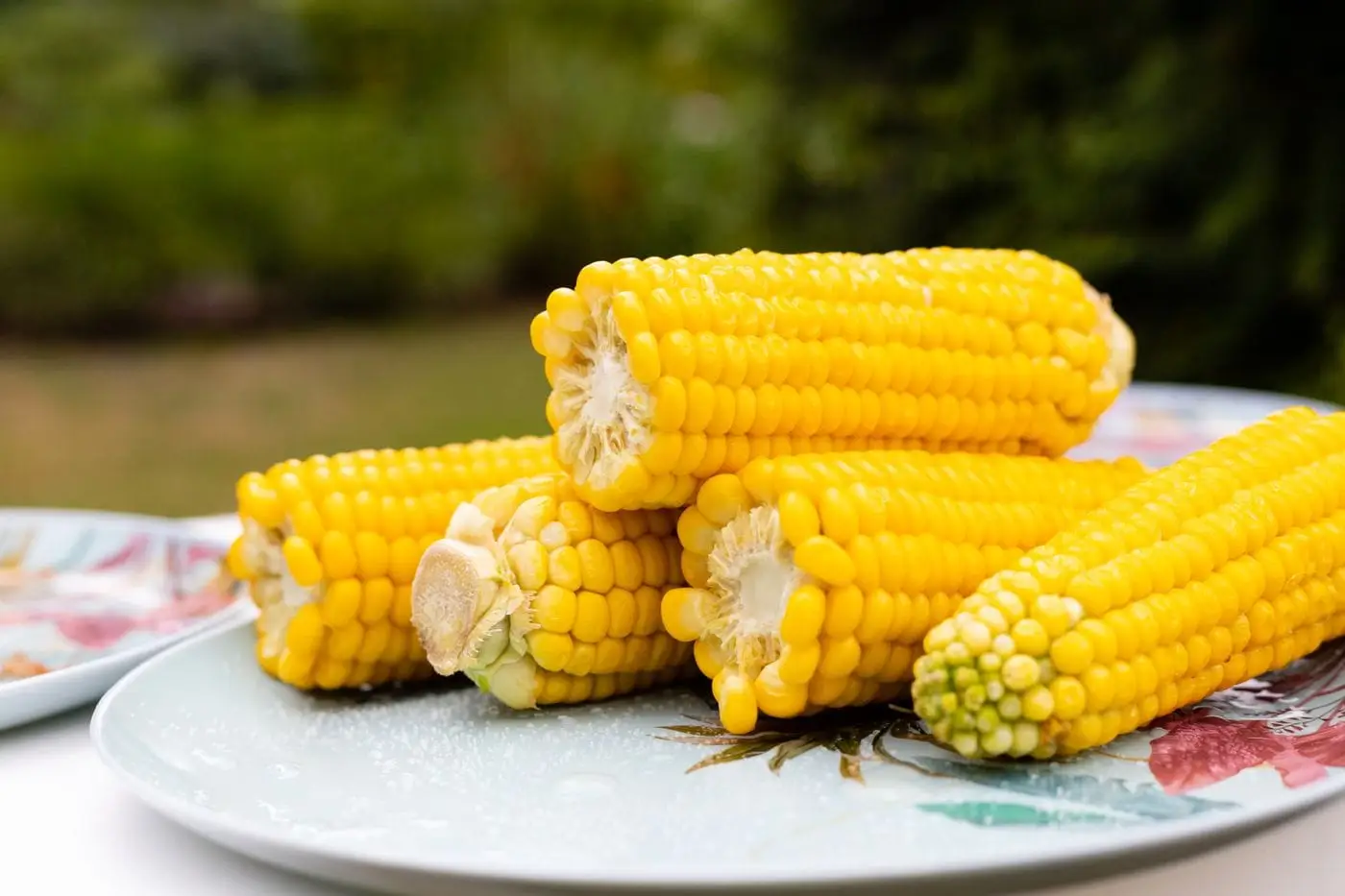 Cooked yellow corn on the cob stacked on a decorative plate outdoors