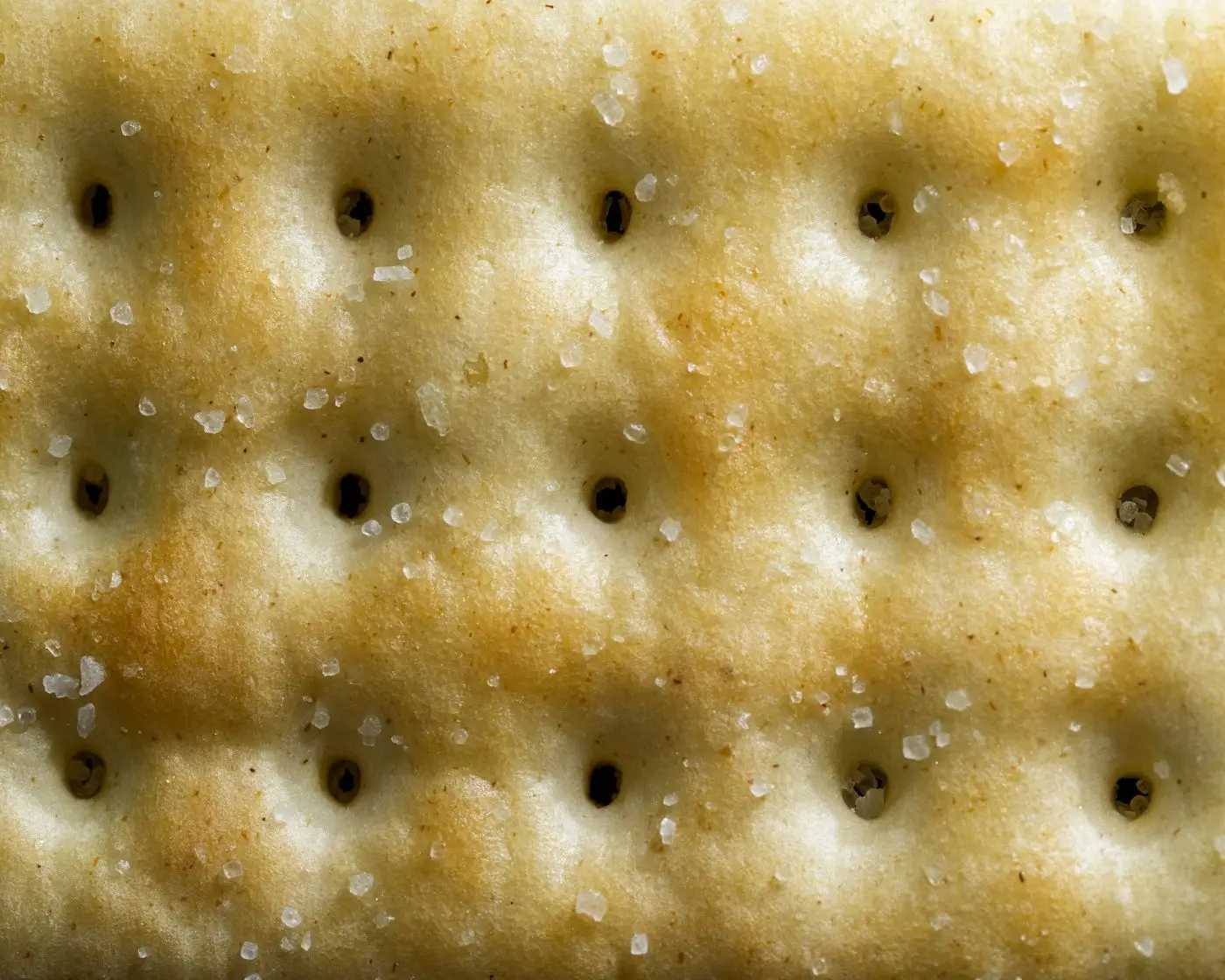 Close-up of a saltine cracker surface with docking holes and salt grains