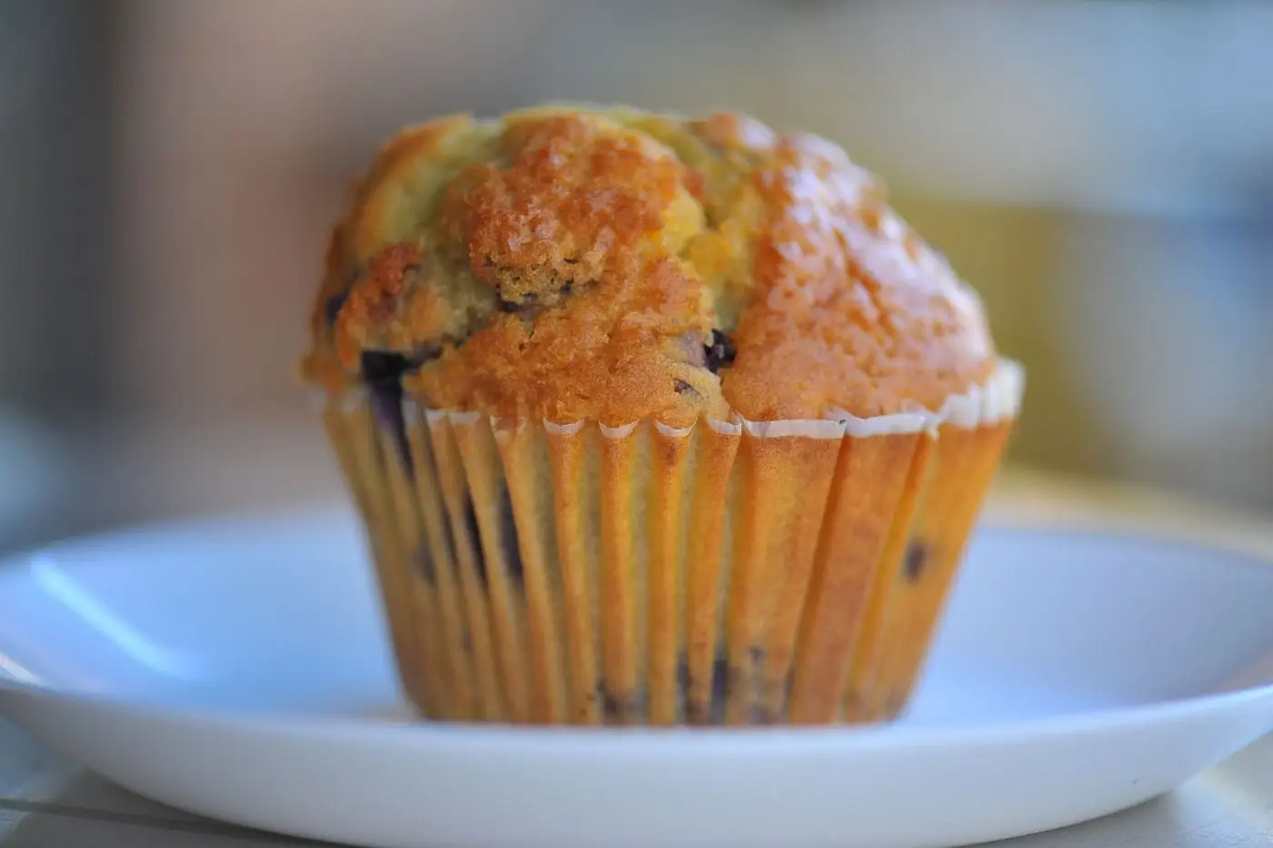 Golden blueberry muffin in a paper liner on a white plate