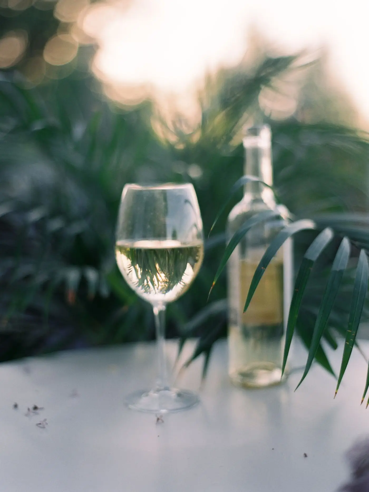Glass of white wine beside a bottle among palm leaves